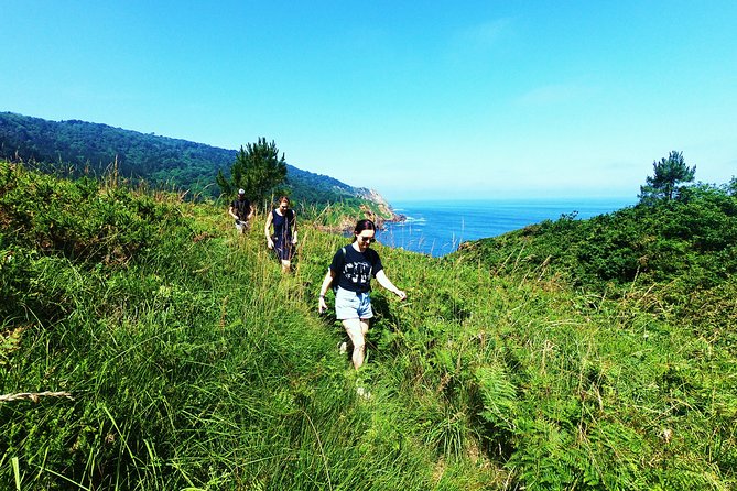 Pirates, Whales and Shipyard Hiking - Traditional Boat Adventure