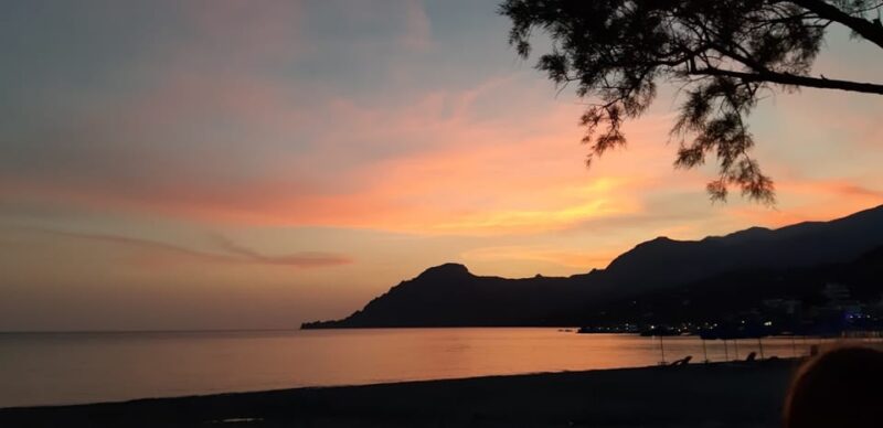 Plakias: Wine Experience by the Sea - Good To Know