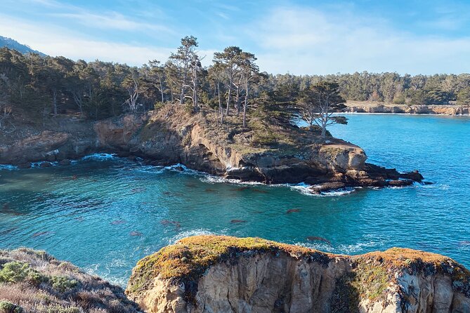 Point Lobos – A Private Charming Ocean Tour