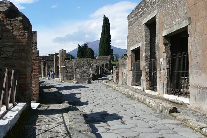 Pompeii 3HR Small Group & Villa of Mysteries Led by Archaeologist - Meeting Point and Logistics