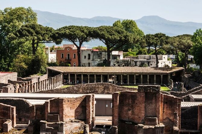Pompeii & Bosco De Medici Winery Skip the Line From Sorrento - Key Points