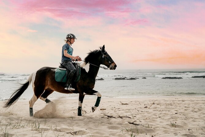 Portugal Horseback Riding Tour On The Beach - Key Points