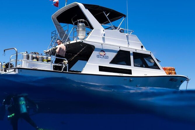 Premium Afternoon Scuba Tour for All Experience Levels - Key Points