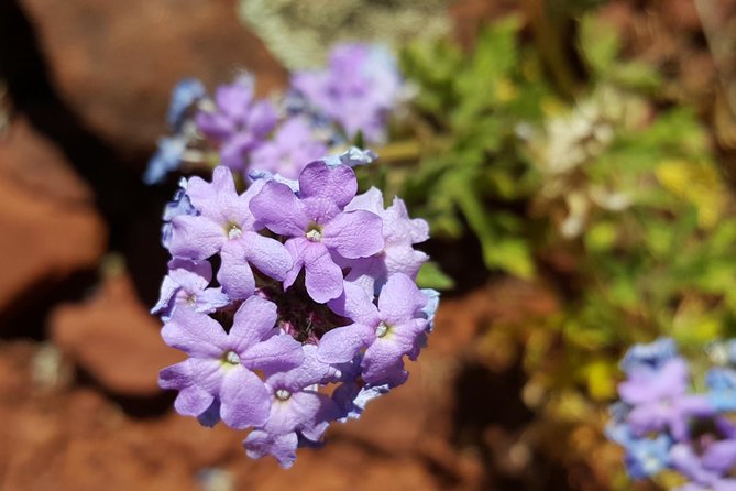 Private 3-Hour Sedona Metaphysical Photography Tour Review - Tour Overview