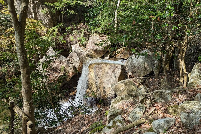 Private 3 Hours Waterfalls Sightseeing Tour