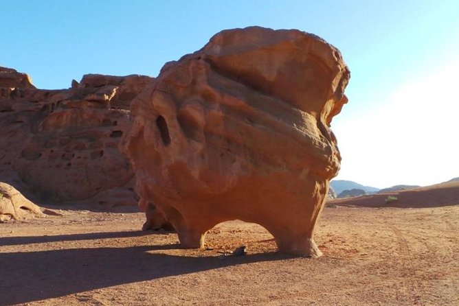 Private 7 Days Tour Explore Best of Jordan