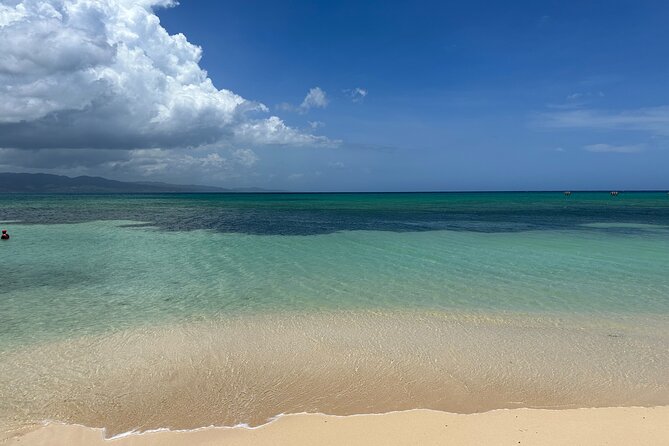 Private 7 Miles Negril Beach and Ricks Cafe Tour - Key Points