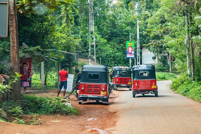 Private Adventures Tour Rainforest and Beach Hopping - Key Points