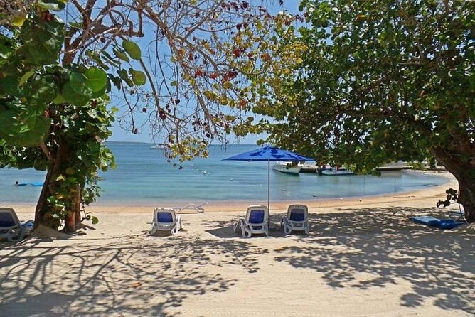 Private Airport Transfer to Hedonism Ll Resort - Key Points