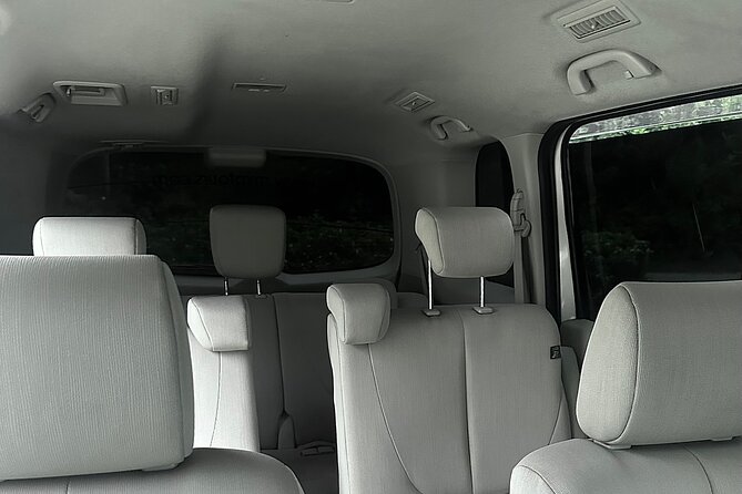 Private Airport Transfer to Trelwany Hotels in Jamaica  - Key Points