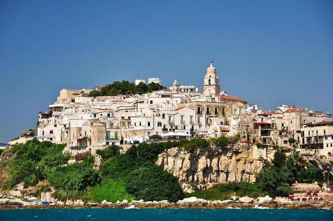 Private And Direct Transfer From Foggia To Naples, Local Driver - Key Points
