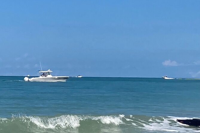 Private Boat Charters in Saint James Review - Overview of Private Boat Charters
