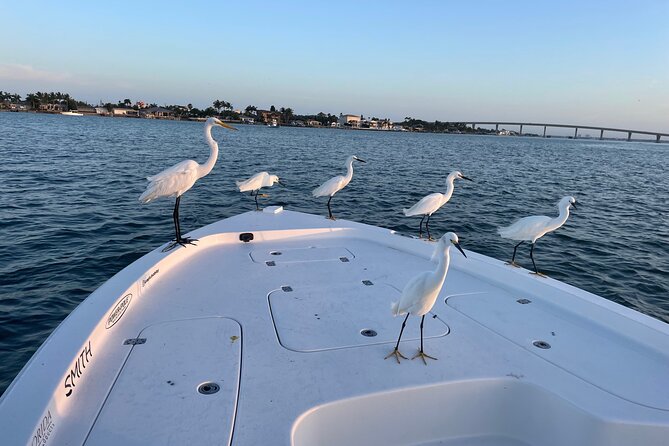 Private Boat Offering Dolphin Watching, Island Excursions and Nature Tours - Overview of Private Boat Tours