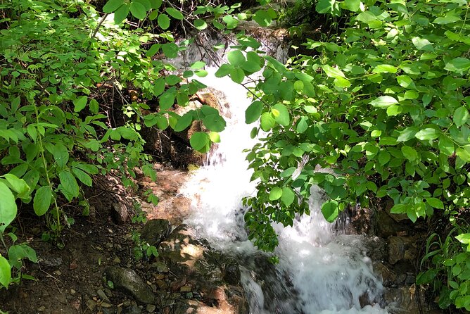 Private Charter on Holland Lake With Hike to a Pristine Waterfall - Itinerary Details