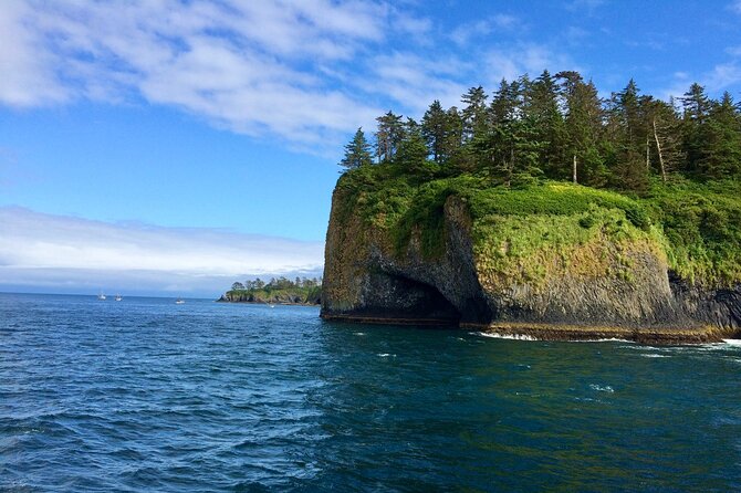 Private Charter Scenic Sea Bird Excursion Review - Overview and Pricing