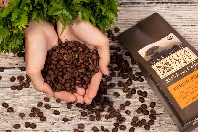 Private Coffee Roasting Class - Good To Know
