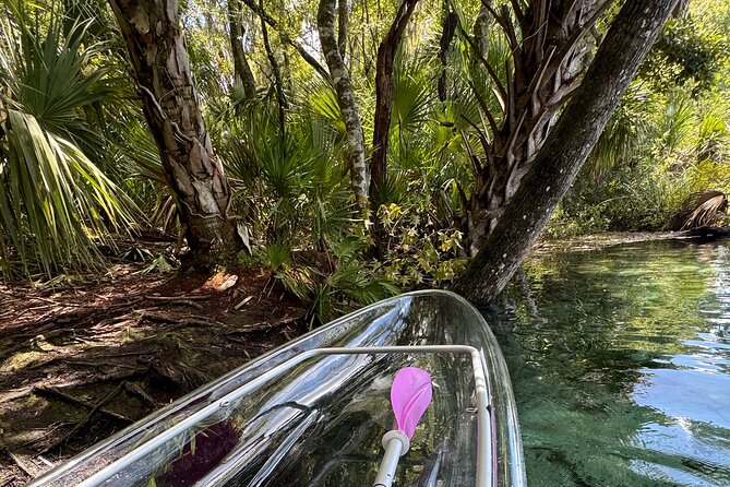 Private Crystal Clear Kayak Rental Review - Activity Overview