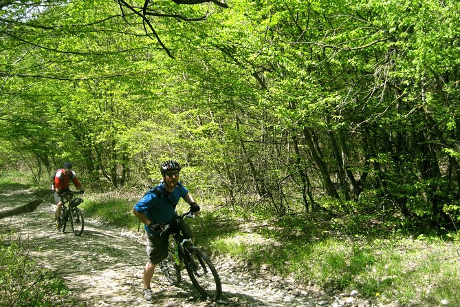 Private Cycling Tour in Rkoni From Tbilisi - Key Points