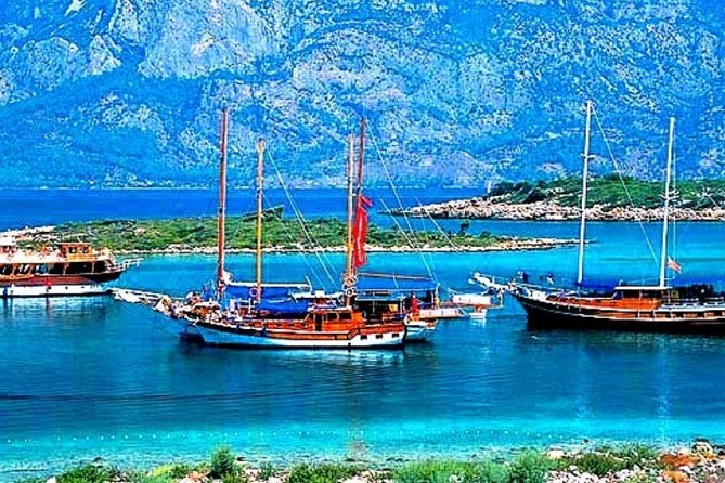 Private Daily Boat Tour ! - Key Points