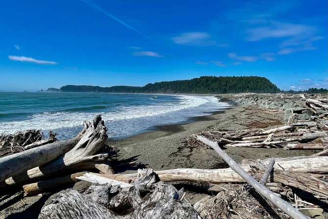 Private Day Hike in the Ozette Triangle Review - Overview of the Ozette Triangle Hike