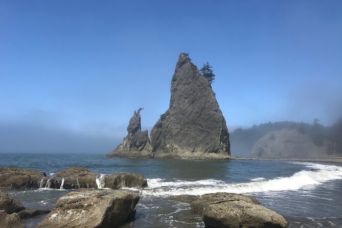 Private Day Hike - Rialto Beach Review - Exploring Rialto Beachs Tide Pools