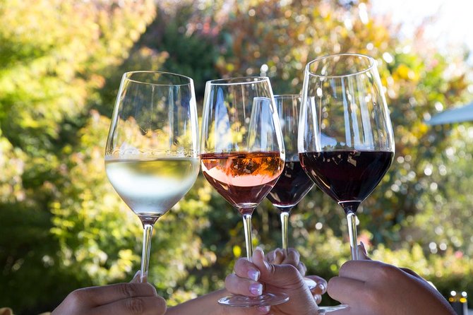 Private Day Trip From Belgrade: Serbian Wine Story - Key Points