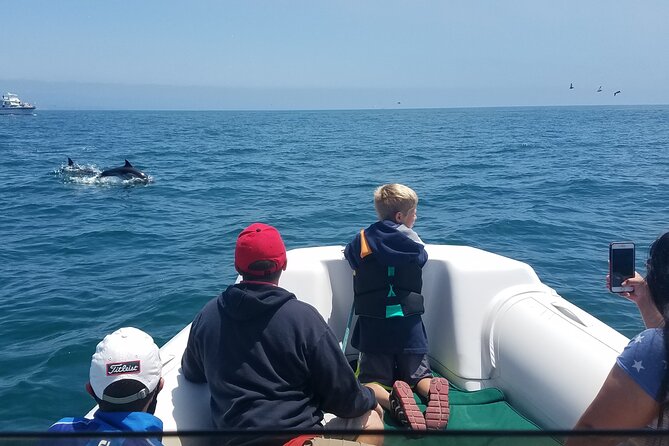 Private Dolphin and Whale Watching Tour in Newport Beach - Good To Know