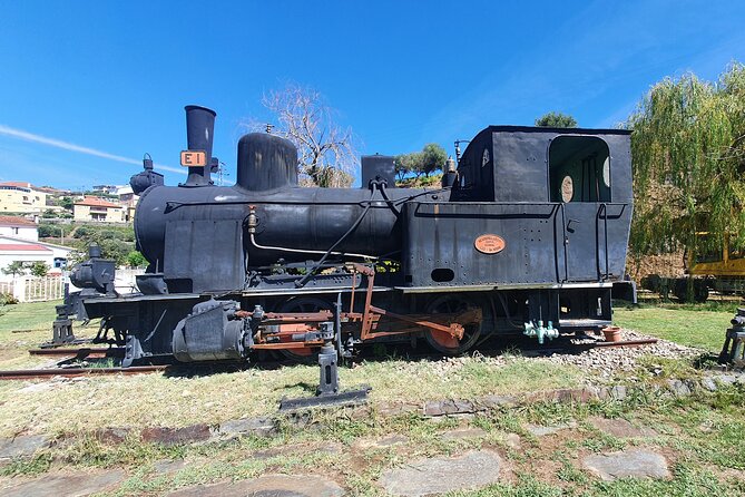 Private Douro Valley Tour With Train and Vinho Verde - Key Points