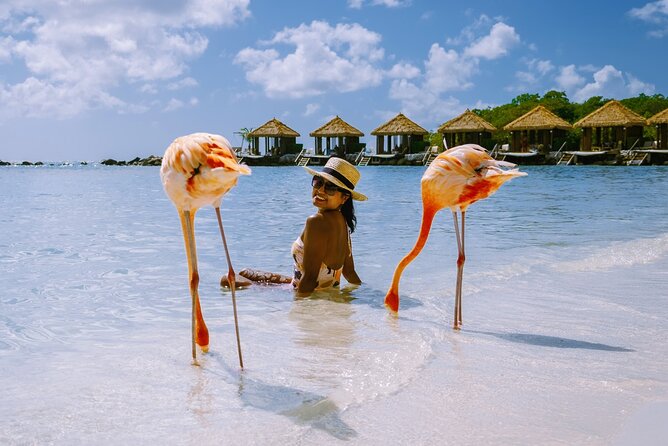 Private Essential Tour of Aruba - Overview of the Tour