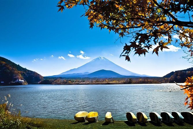 Private Fuji Hakone Tour Charter With English Speaking Driver - Key Points