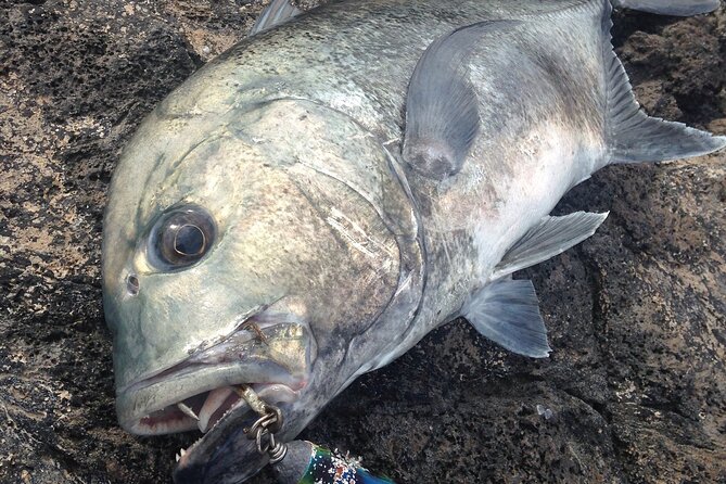 Private Full Day of GT Fishing Review - Meeting and Pickup Details