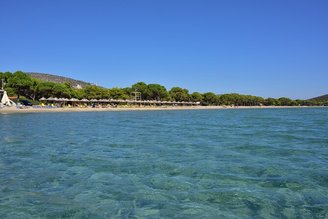 Private Full Day Tour in Athens and Marathon - Tour Overview