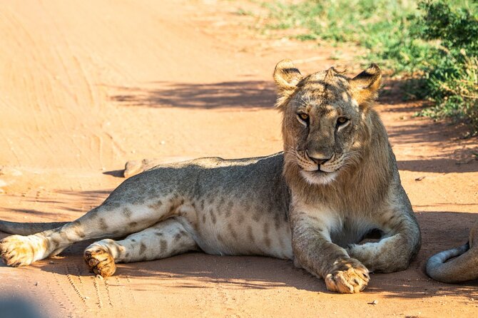 Private Full Day Tour to Tsavo East National Park - Key Points
