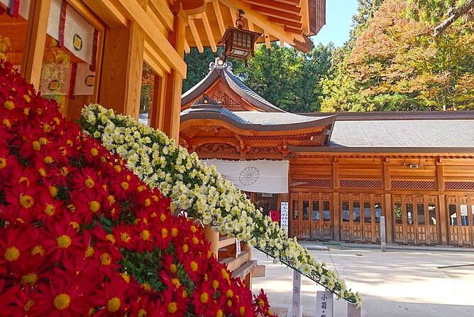 Private Guided Half Day Tour Visit in Nagano - Key Points