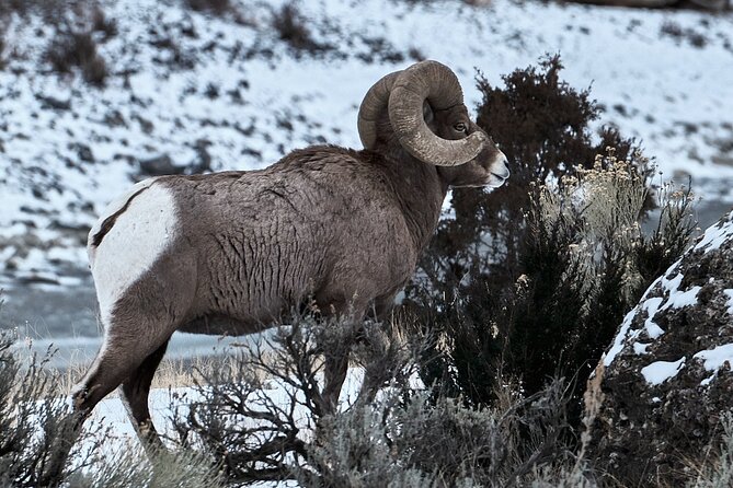 Private Guided Hiking Tour in Colorado Review - Inclusions and Exclusions