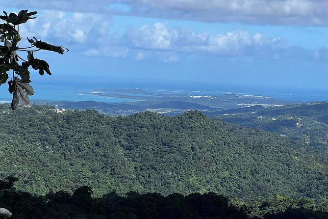 Private Guided Tour in Puerto Rico - Key Points