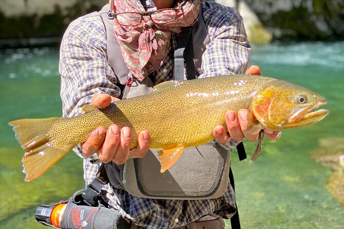 Private Half-day Fly Fishing Review - Good To Know