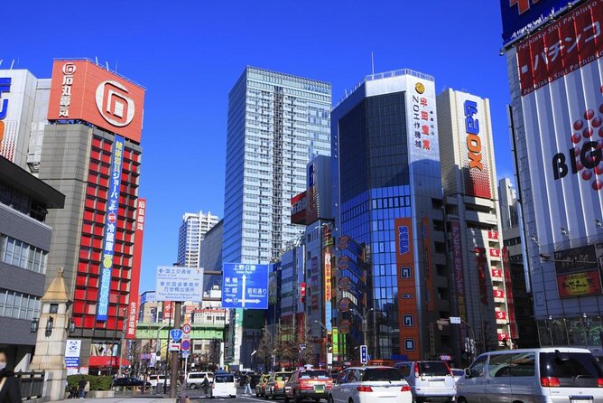 Private Half-Day Tour Colorful and Busy Street in Central Tokyo - Good To Know
