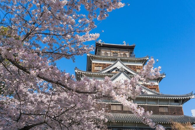 Private Hiroshima Cherry Blossom and Sakura Experience - Good To Know