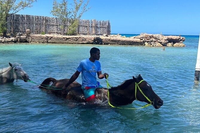 Private Horseback Ride and Swim in Montego Bay - Key Points