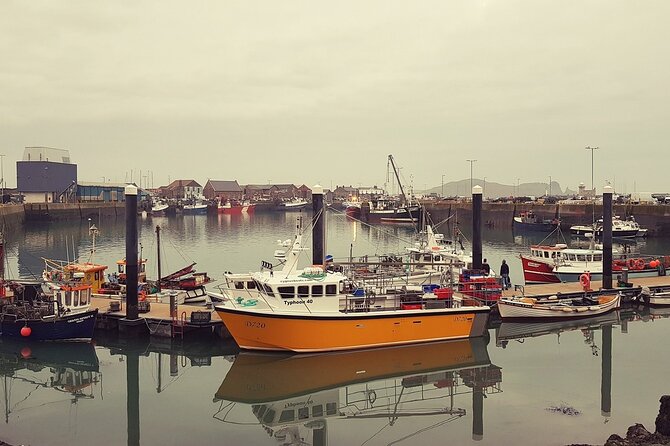 Private Howth and Malahide Full Day Tour From Dublin - Tour Highlights