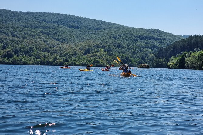 Private Kayak Experience in Pchelina Dam - Key Points