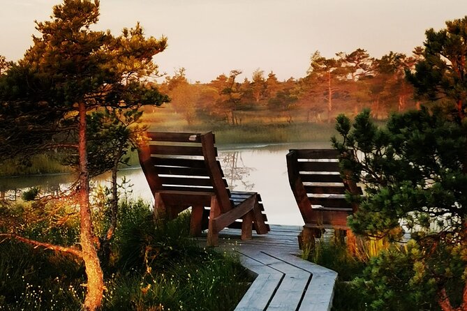 Private Kemeri National Park Bog Walking Trail - Key Points