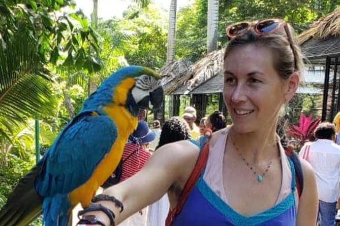 Private Konoko Falls and Sightseeing Tour From Ocho Rios - Key Points