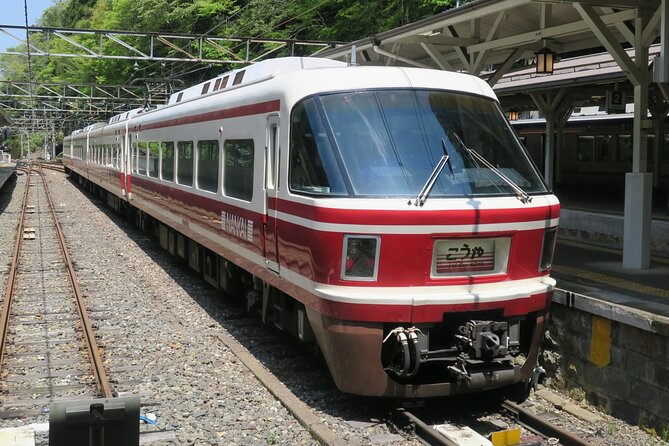 Private Koyasan Day Tour From Osaka – Kii Peninsula UNESCO Site - Tour Overview