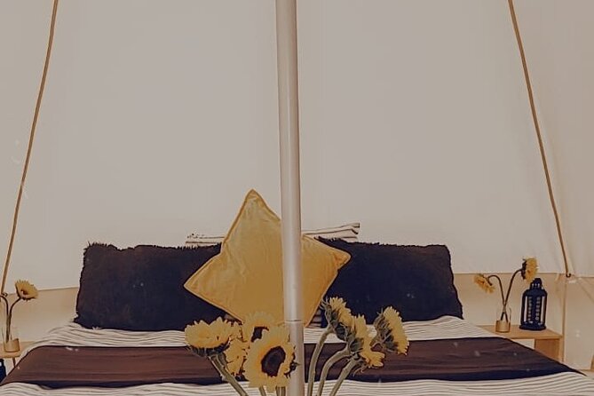 Private Luxury Picnic Experience in Hollywood Review - Overview of the Experience
