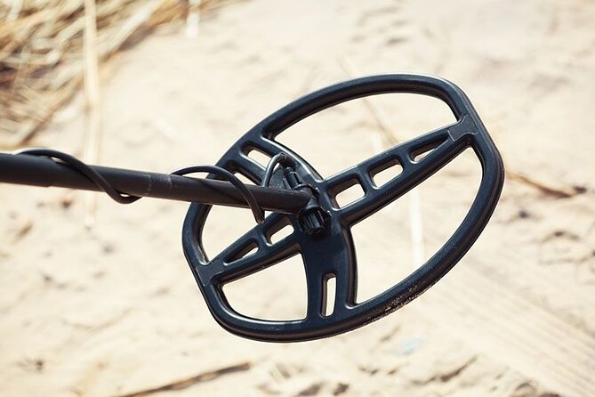 Private Metal Detecting Tour Review: Kenosha Adventure - Good To Know