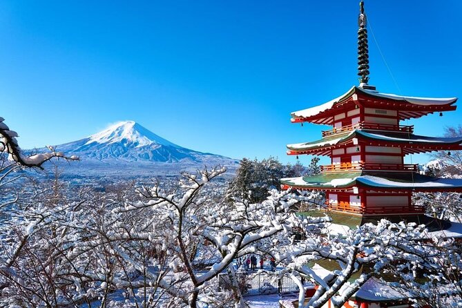 Private Mount Fuji and Hakone One Day Tour - Key Points