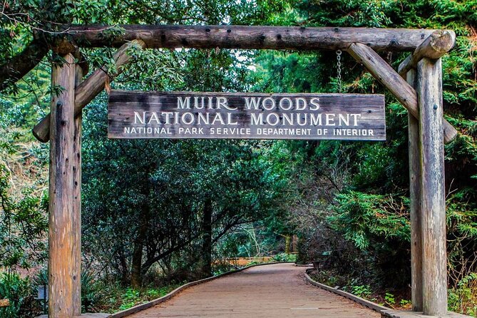 Private Muir Woods, Sausalito, and Marin Headlands Tour Review