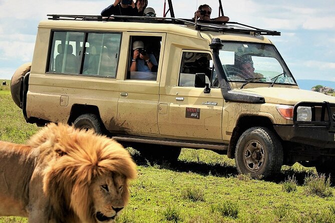 Private Multi Day Serengeti Safari - Key Points